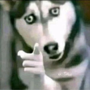 Meet your Posher, Nine